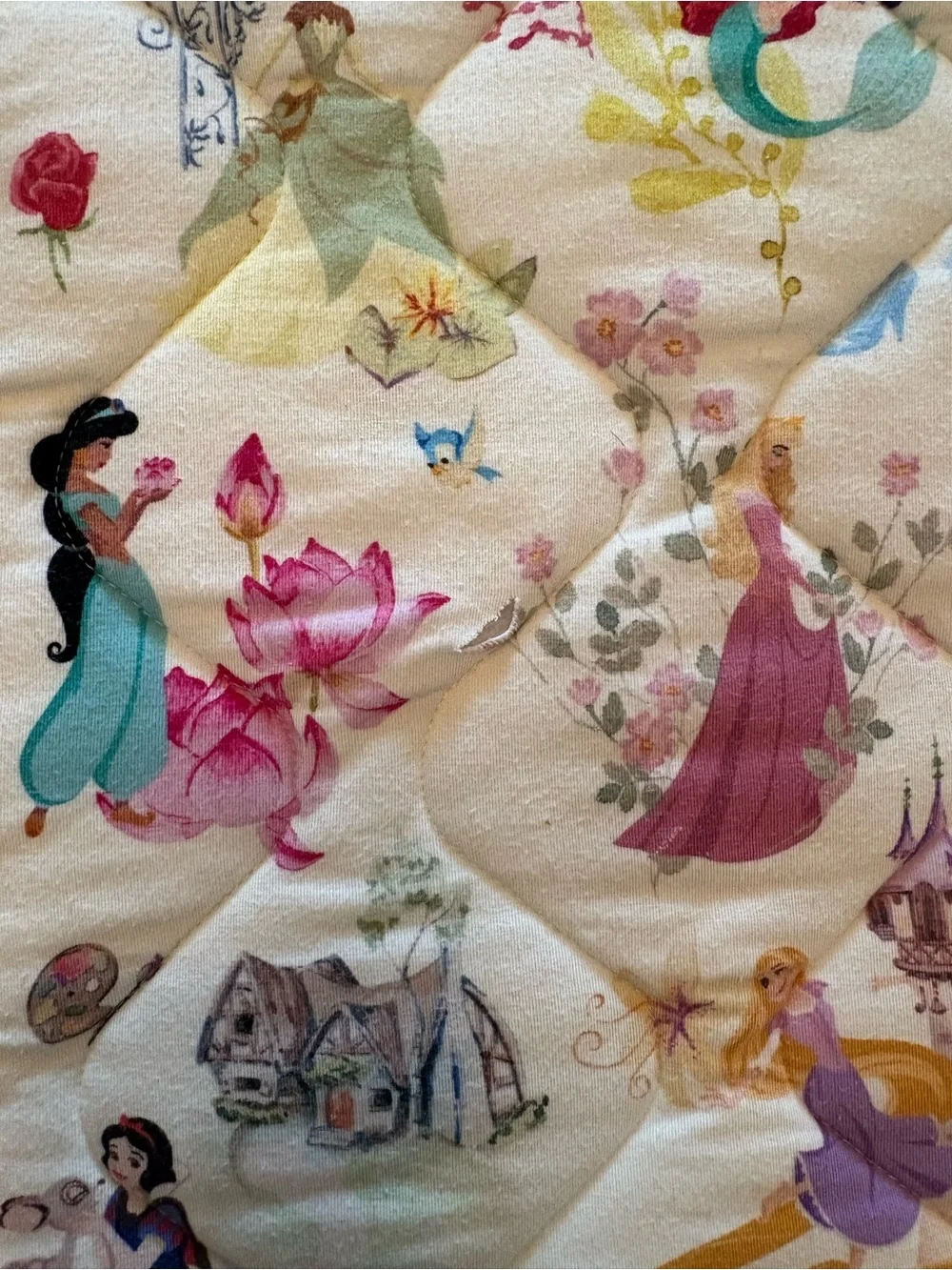 Posh Peanut OG Princess Ball Disney Princess Quilt